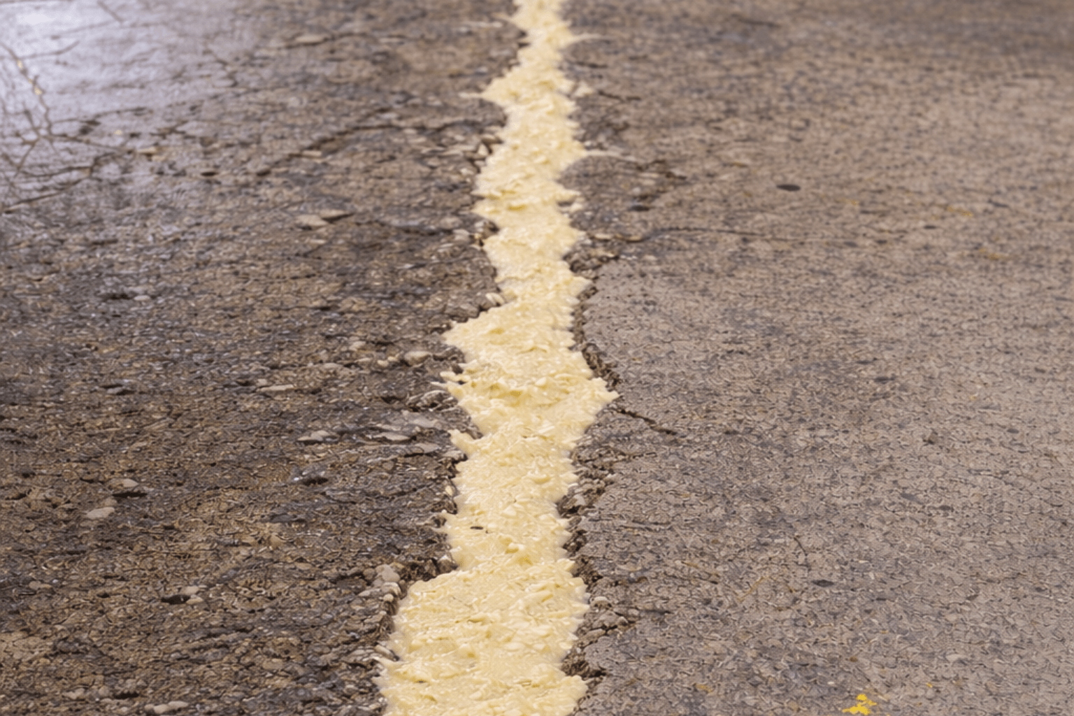 Image Jan 17, 2026, 03_55_19 PM (1)